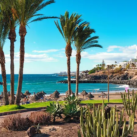 Apartment Olympia In Americas-costa Adeje
