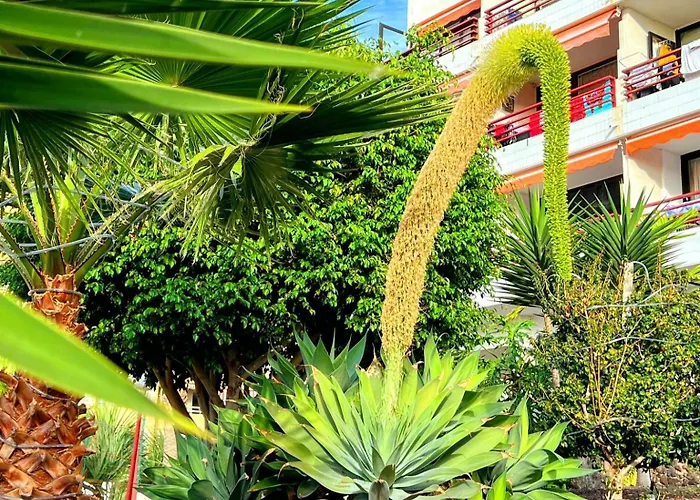 Paulmarie In Olympia Playa de las Americas (Tenerife)