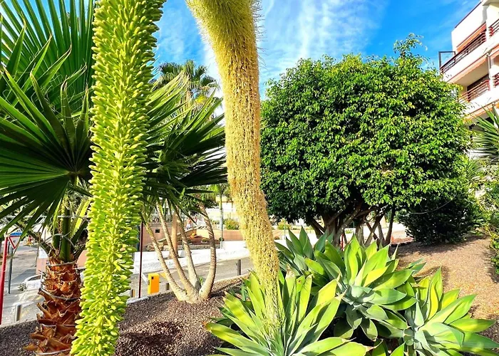 Paulmarie In Olympia